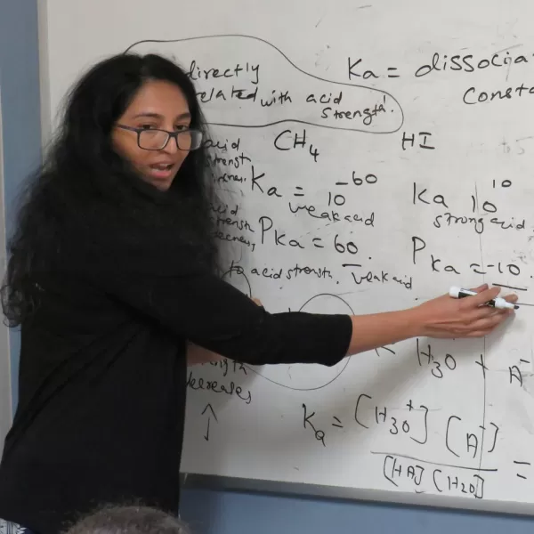 2009 Annual Art Competition